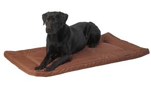 Your pet needs somewhere to curl up at the end of a busy day. House Of Paws Water Resistant Pet Crate Mat You Can Get Additional Details At The Image Link This Is An Affiliate Link And I Receive Pet Crate Cat Bed Pets