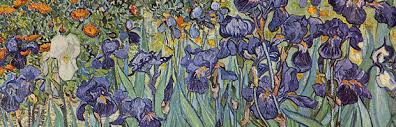 Find a print of this oil on canvas painting Econedlink Vincent Van Gogh S Flower Beds In Holland