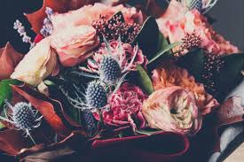 Condividi questa bellissima immagine sui fiori con dedica. Il Significato Dei Fiori La Repubblica