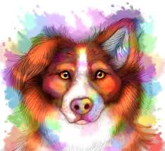 What kind of job does wildblue border collies do? Rainbow Border Collie By Everlastingderp On Deviantart