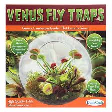 Venus Fly Traps Kit Hobby Lobby 1549013 Venus Fly Trap Fly Traps Venus Fly Trap Terrarium