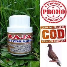 Jenis burung dara dan harganya. Jual Raja Sprint Jamu Merpati Jamu Merpati Tinggi Doping Merpati Bukan Gins Kab Cirebon Nafadaa Kosmetic Tokopedia