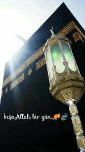 Insaallah Tintin Recete Dogal Receteler