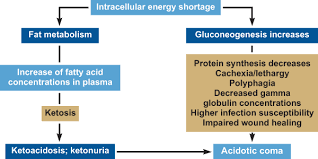 Pathogenesis Merck Animal Health Usa