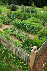 Outdoor Living Today 8 Ft X 12 Ft Garden In A Box Rb812 The Home Depot In 2021 Garden Layout Vegetable Garden Planning Layout Vegetable Garden Design