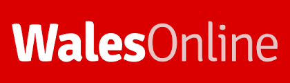 Skip to main content gov.wales uses cookies which are essential for the site to work. Man Suffered Collapsed Lung And Ruptured Eardrum After Being Kicked And Stamped On In Brutal Street Attack Wales Online