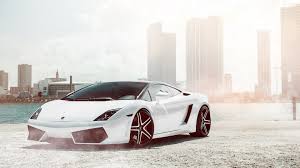 Check spelling or type a new query. Lamborghini Gallardo White Wallpaper Hd Car Wallpapers Id 5517