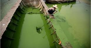 frog s leap winery saves 10 million gallons of water a year with dry farming pollution pictures water pollution earth pictures