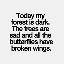 Broken Heart Quotes Broken Heart Quotes Heart Quotes Quotes