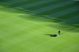 Lawn meaning, definition, what is lawn: Essential Tips On Mowing Your Lawn The Right Way What Is The Meaning Of