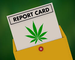 May 13, 2021 · process to apply for a michigan medical marijuana card. Michigan Gets A B For Medical Marijuana Patient Access Marijuana News Detroit Detroit Metro Times