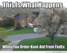 40 Funny Pictures To Share With Friends Ideas Funny Pictures Funny Funny Photos If you find these messages useful and lovely, kindly share it with your friends on facebook, twitter.