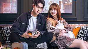 Terdapat berbagai macam jenis film mulai dari film satuan, film seri, film pendek dengan berbagai genre seperti action, adventure. Nonton Drama Falling Into Your Smile Eps 23 Sub Indonesia Di Wetv Tirto Id