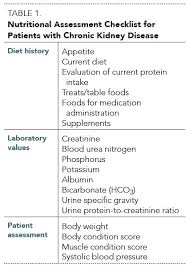 Nutritional Management Of Chronic Kidney Disease In Cats