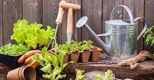 Garden Tools Home Vegetable Garden Garden Supplies