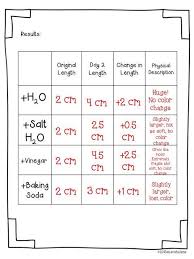 Gummy Bear Science Ideas Pinterest Gummy Bear Science Project Science Fair Projects Science Fair