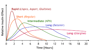 insulin comparison peak and duration insulin