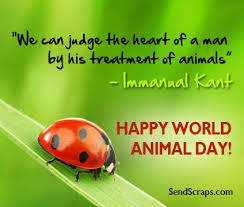 World Animal Day Images Greetings And Pictures For Facebook Pet Day Animals Of The World Animal Treatment