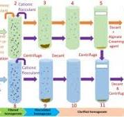 Base-dependent flocculant treatment improves the extraction ...