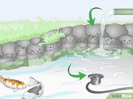 #2 how many times a year do catfish lay eggs? How To Breed Koi Fish 15 Steps With Pictures Wikihow