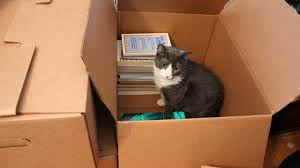 Packing Tips How To Pack A Book Box Corrigan Moving Systems