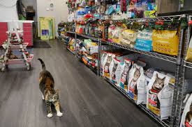 Maybe you would like to learn more about one of these? Best Pet Stores In The Philadelphia Area