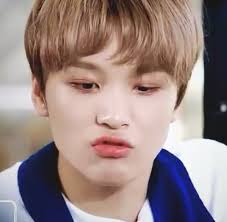 Yo No Puedo Con Esta Persona Aaaa Dong Di 2020 Lucu Hewan Lucu Hewan