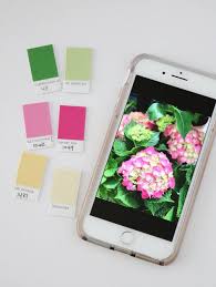 How To Make A Kona Color Board Color Inspiration Art Teacher Gifts Cool Color Palette