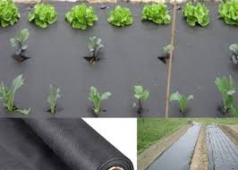 Traditionally there are 2 main types: Anti Uv Sunshine Pp Non Woven Landscape Fabric Crop Cover Cloth Spunbonded Waterproof
