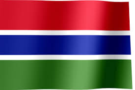 With tenor, maker of gif keyboard, add popular waving white flag animation animated gifs to your conversations. The Gambia Flag Gif All Waving Flags