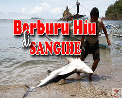 Check spelling or type a new query. Video Nelayan Di Batuwingkung Olah Ikan Hiu Di Tepi Pantai