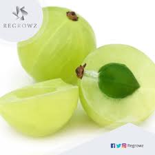 Uncle Barnet S Hair Remedies A Deficiency Of Vitamin C Can Lead To Hair Loss The Indian Gooseberry Is An Amla Juice Benefits Gooseberry Benefits Easy Detox
