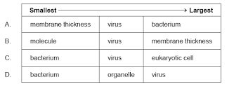 When the water inside the cell is hypertonic compared to the extracellular environment, water travels out through osmosis. Http Ibchristie Weebly Com Uploads 3 8 8 2 3882234 Topic 1 1819 Ver B Ms Pdf