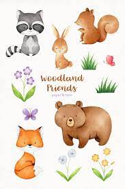 Watercolor Woodland Animals Clipart Graphics Forest Baby Animal Clip Art Fox Bunny Bear Raccoon Squirrel Hand Painted Water Color Watercolor Animals Animal Clipart Baby Animal Prints