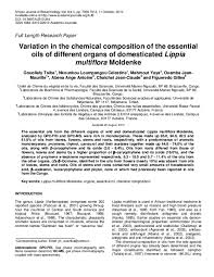 Image result for Lippia somalensis