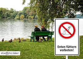 Maybe you would like to learn more about one of these? 12 Haram Ideen Schilder Verbotsschilder Enten Futtern