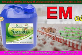 Chế Phẩm Sinh Học EMGRO Cần Thiết Trong Chăn Nuôi Và Trồng Trọt