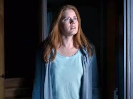 Rewind to 2018, and the woman in the window could hardly have looked more promising. The Woman In The Window Everything We Know So Far Zone 6
