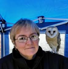 Barred owls nesting and first flights in residential area