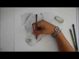 Animali lupo disegni difficili animali matita disegni difficili bellissimi disegni animali difficili. Speedpaint Disegno Di Un Jack Russel Cane Disegno Libero Youtube