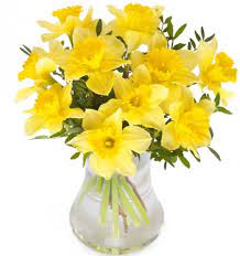 Send Daffodil Bouquets Send Flowers Worldwide