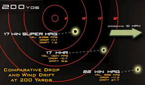 Winchester 17 Win Super Mag Rimfire Within Accurateshooter Com