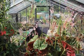 Der aromagarten ist ebenfalls sehr schön gestaltet und gepflegt. Botanischer Garten Erlangen 20 08 Topner De