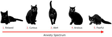 Horsetalk.co.nz calculated the conservative annual maintenance cost at $3,000 a few. Ultrasonic Deterrents Reduce Nuisance Cat Felis Catus Activity On Suburban Properties Sciencedirect