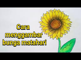 Gambar inilah 9 gambar bunga matahari hitam putih untuk diwarnai. Contoh Gambar Cara Mewarnai Bunga Matahari Kataucap