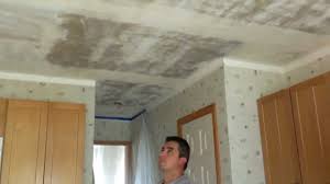 How to remove textured ceiling plaster. How To Remove Popcorn Ceilings Or Texture Ceilings Youtube