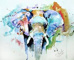 Splash Of Colour By Steven Ponsford Elephant Art Watercolor Elephant Animal Paintings