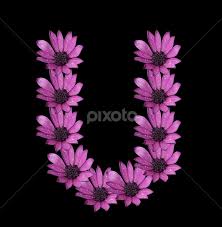 Learn the basics of creating elegant letter forms and discover of variety of styles and samples (artist's library) [newhall, . Alphabet U Single Letters Typography Pixoto