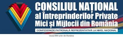 Ca sa cresti suma pe care o poti lua cu salariu minim pe economie, ai sansa la orice banca sa aduci un coplatitor. Cnipmmr Nu SusÈine CreÈterea Salariului Minim Brut Pe ÈarÄ Vezi Rezultatele Sondajului Financial Intelligence