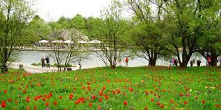 These are some of the words we associate with café am see im britzer garten. Britzer Seeterrassen Im Britzer Garten Fruhstuck Im Grunen Top10berlin